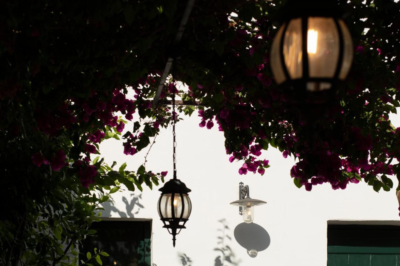 Don Alfonso Dimora D'Epoca Acomodação com café da manhã Racale Exterior foto